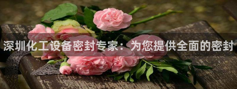 新宝gg为什么登不上去了