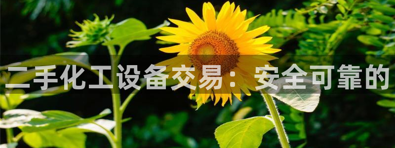 新宝gg平台注册