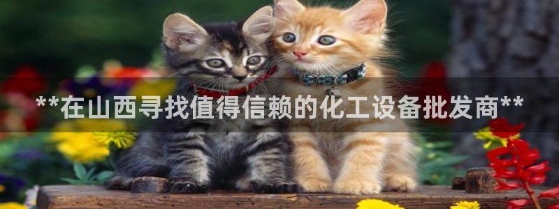 新宝gg登录测速中心