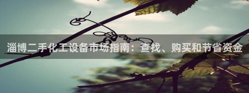 新宝gg创造奇迹登录注册优势