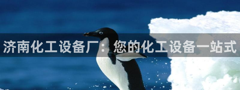 新宝gg案件