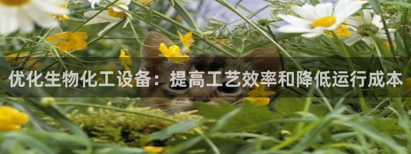 新宝gg注册