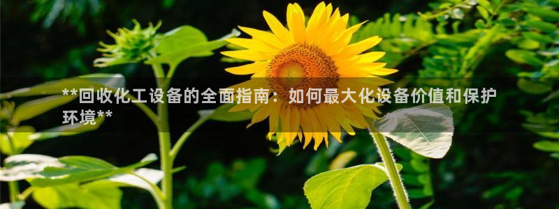 新宝gg创造奇迹官方登录