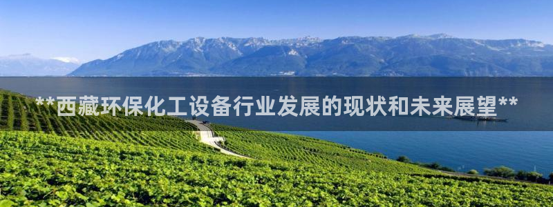 新宝gg平台注册登录指南