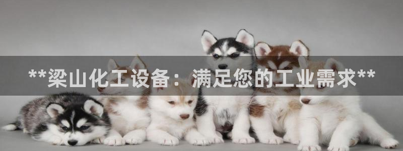 新宝gg怎么登录不了