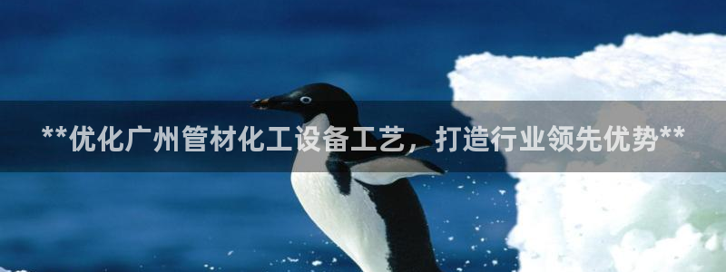 新宝GG平台开户