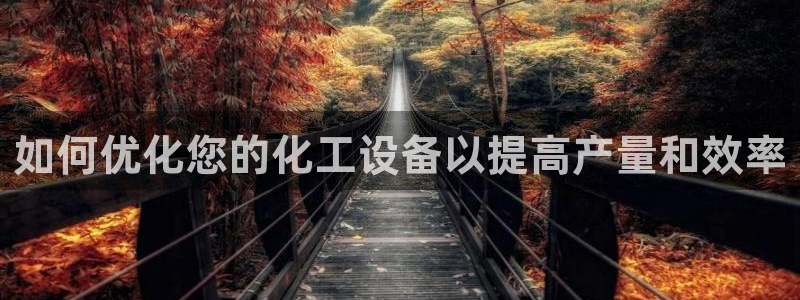 新宝GG平台开户