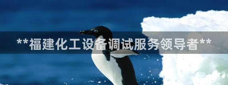 新宝gg怎么登录不了了