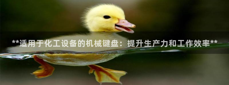 新宝gg奇迹登录怎么登录不了