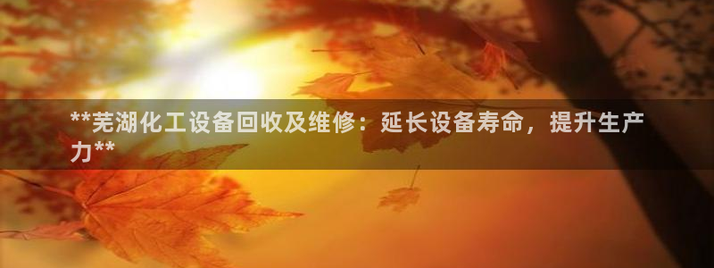 新宝gg平台登录手机版