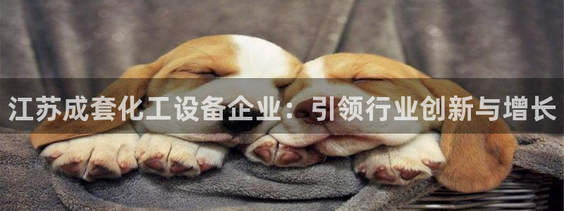 新宝gg平台注册登录指南