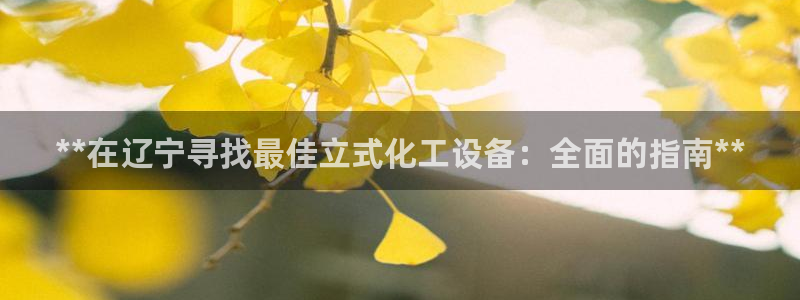 新宝gg平台注册网址