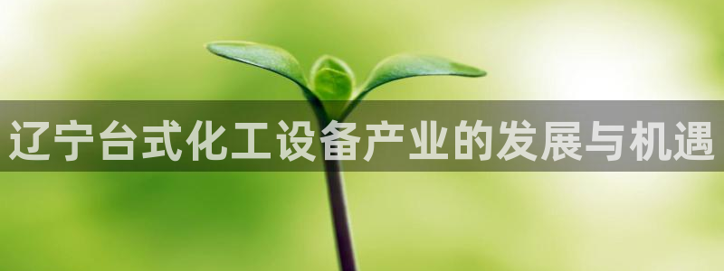 新宝gg一创造奇迹