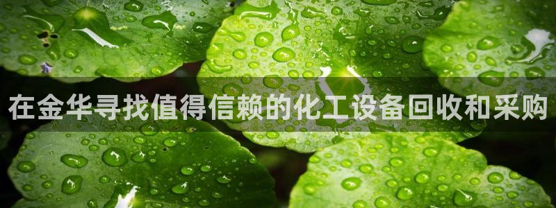 新宝gg账号注册平台