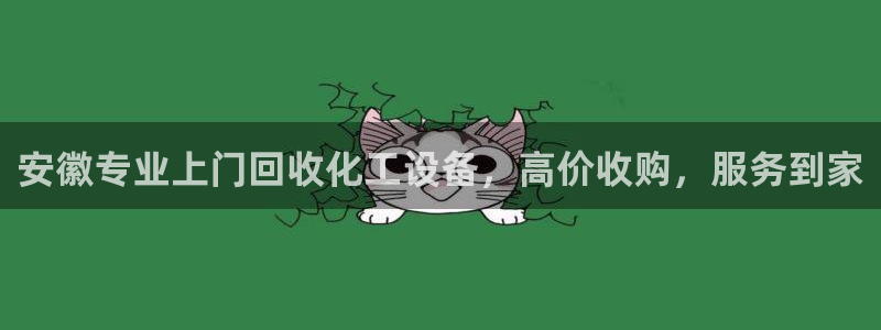 新宝gg提现不到账了?