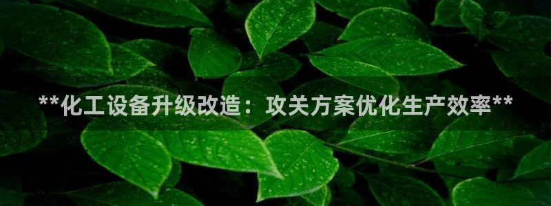 新宝gg一创造奇迹用户登录