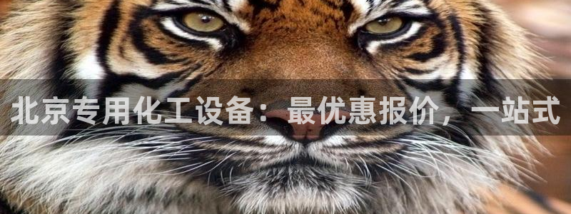 新宝gg创造奇迹登录注册优势