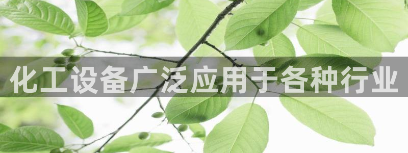 新宝gg平台