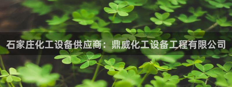 新宝gg怎么登录不了了