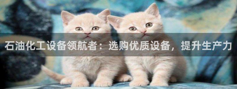 新宝gg―创造奇迹登录平台
