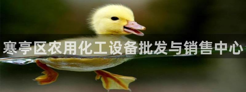 新宝gg注册