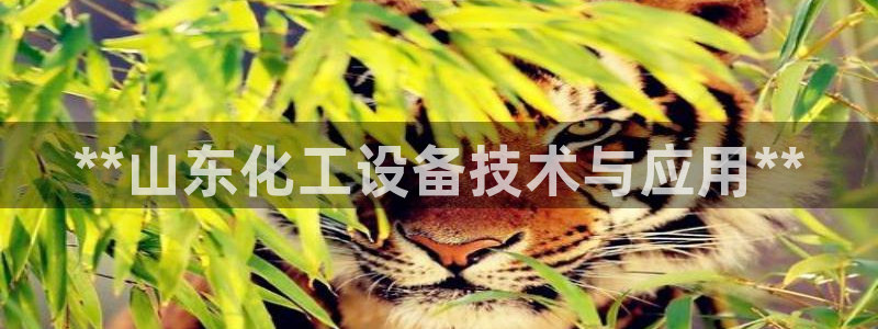 新宝gg平台―创造奇迹登录