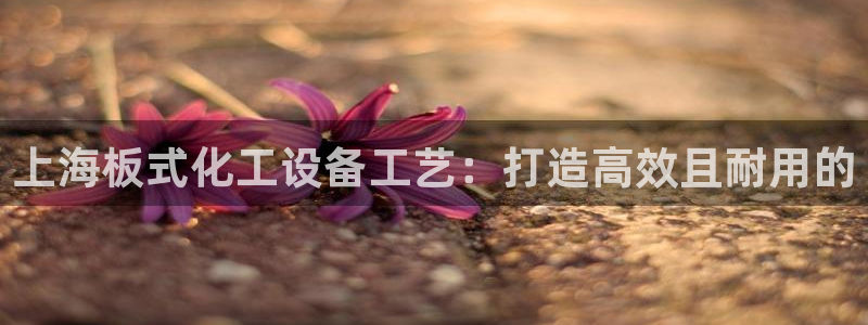 新宝gg注册网址