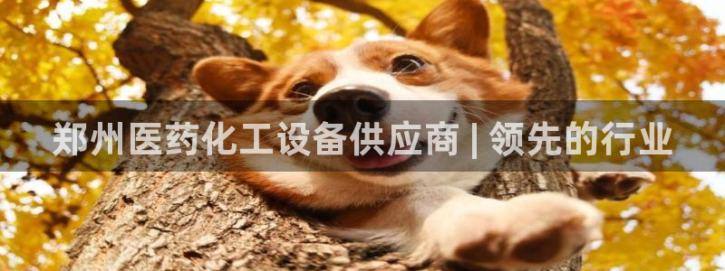 新宝gg一创造奇迹登