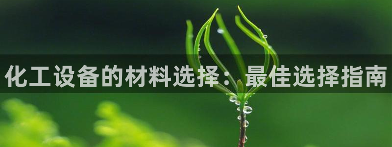 新宝gg平台注册登录指南