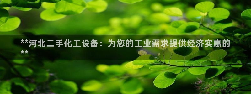 新宝gg奇迹登录