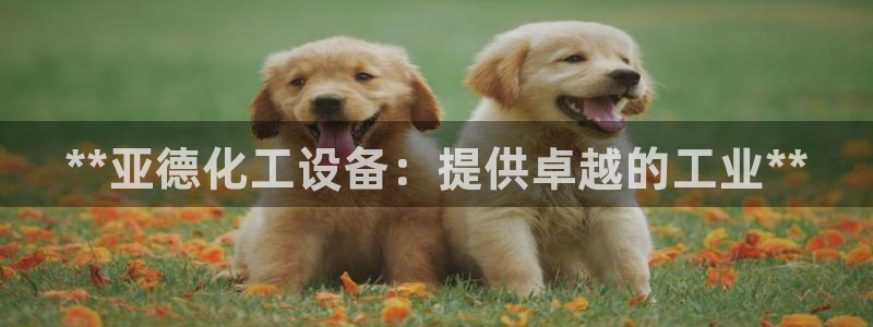 新宝gg被抓