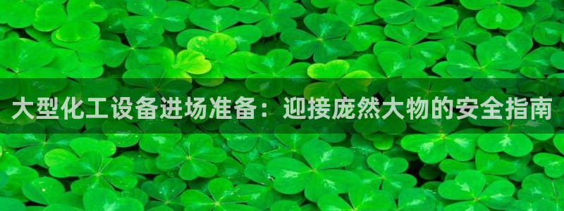 新宝gg登录入口