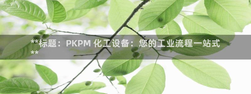 新宝gg一创造奇迹