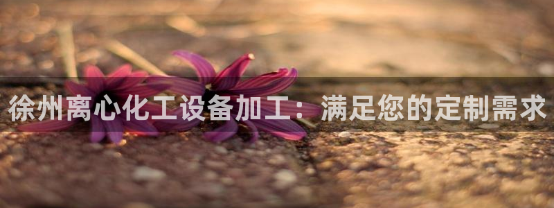 新宝gg登录入口