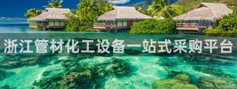 新宝gg创造奇迹登录入口网址