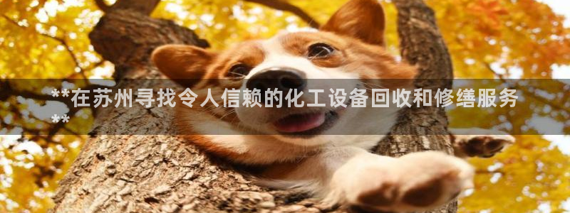 新宝gg登录入口