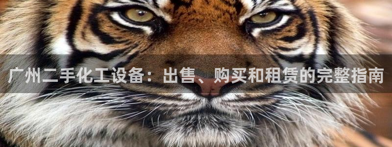 新宝gg创造奇迹代理