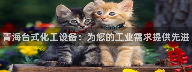新宝gg售后人工客服电话