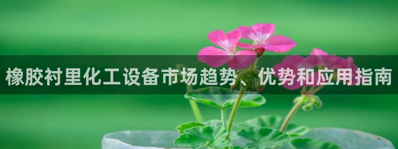 新宝gg手机版登录官网