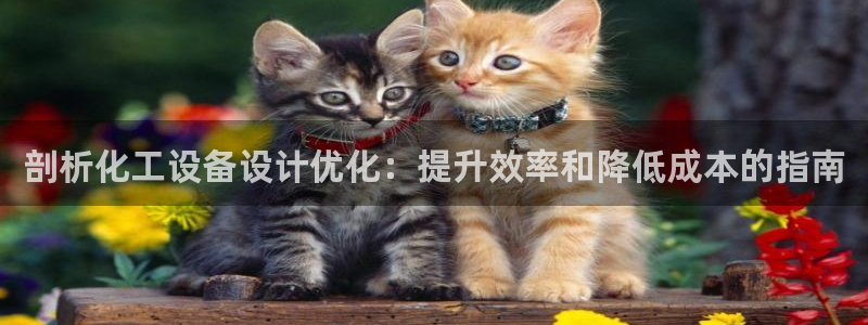新宝gg被抓