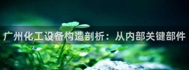 新宝gg平台