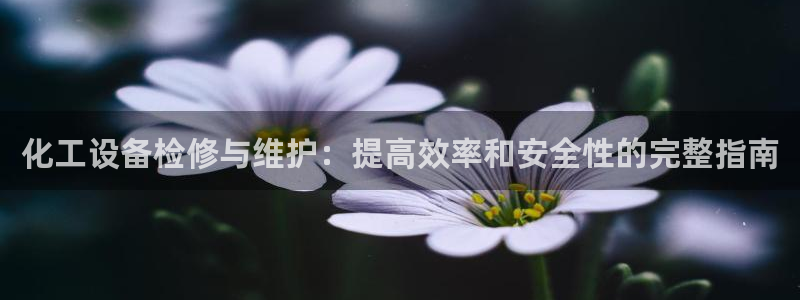新宝gg最简单登录方法