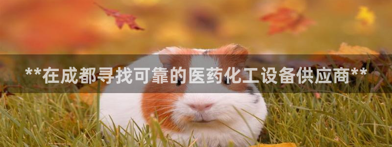 新宝gg一创造奇迹代理