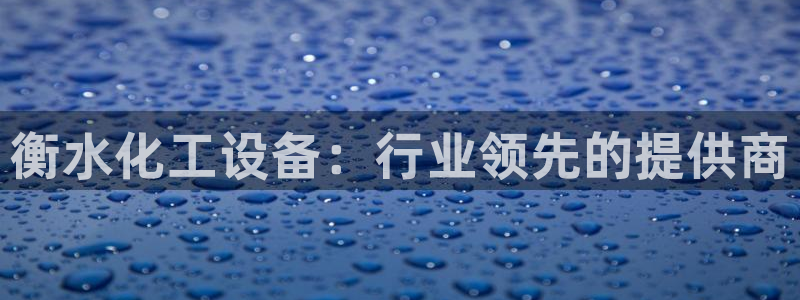 新宝GG平台负责人