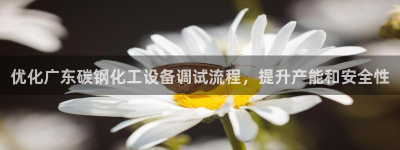 新宝gg一创造奇迹