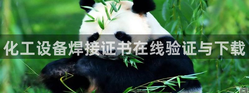 新宝gg登录不上去了