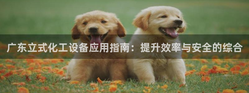 新宝gg—创造奇迹官网