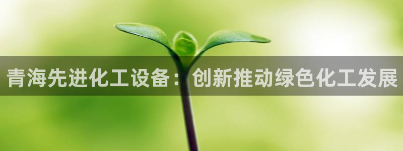 新宝gg游戏首页