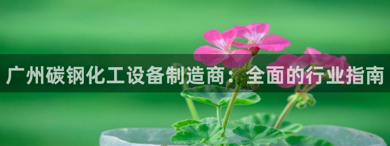 新宝gg一创造奇迹登陆