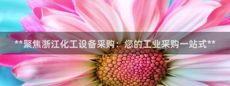 新宝gg登录不上去了了